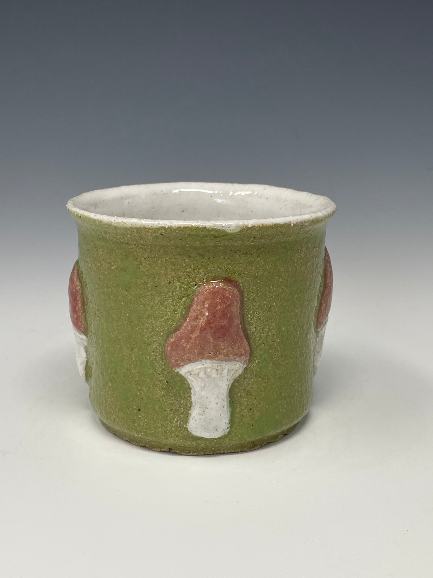 Mushroom on Green Planter