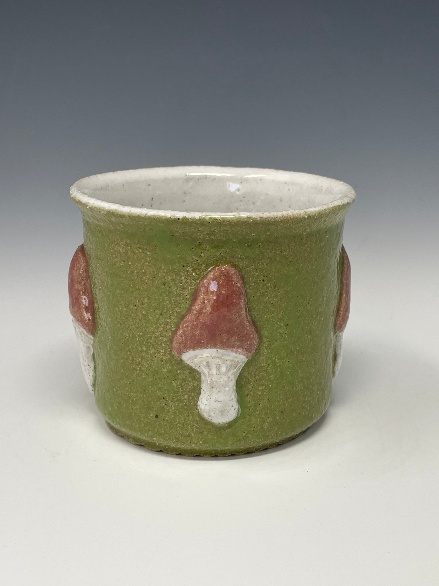 Mushroom on Green Planter