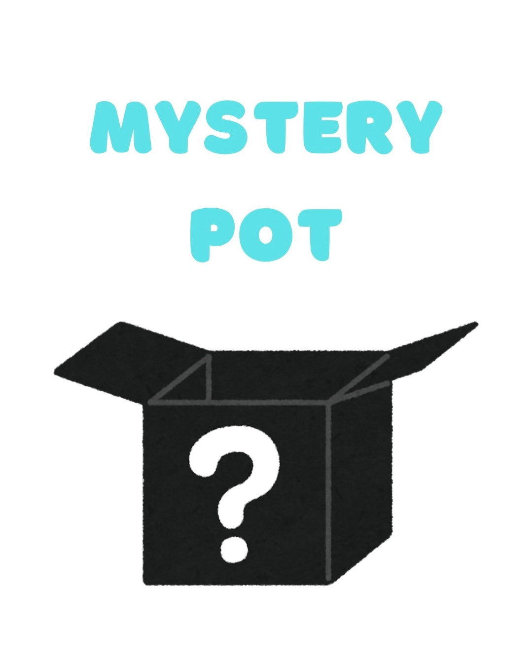 Mystery Pot
