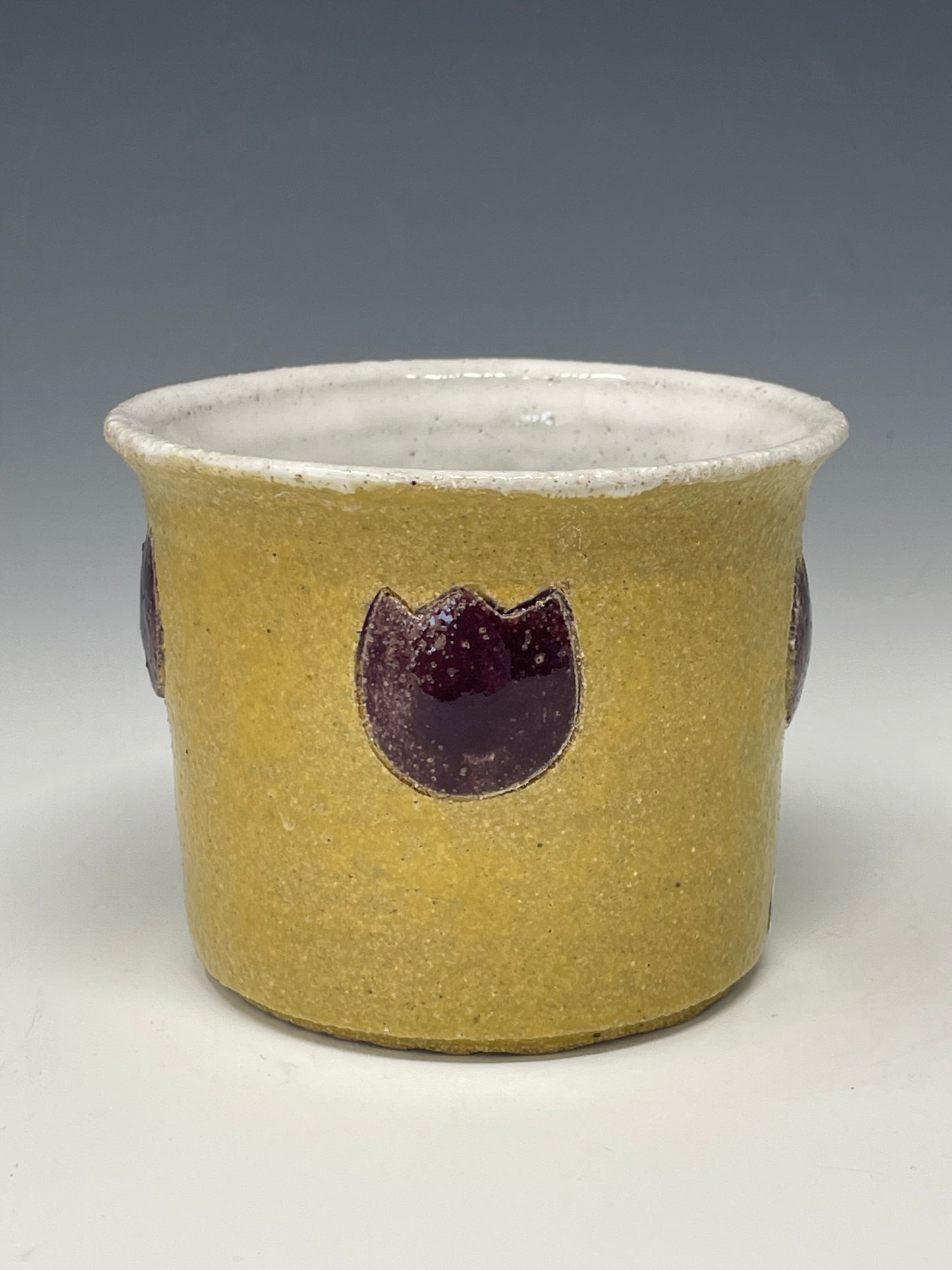 Purple Tulip Planter