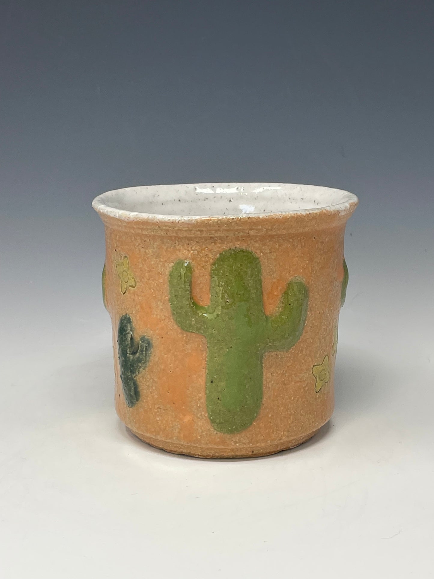 Orange Cactus Planter