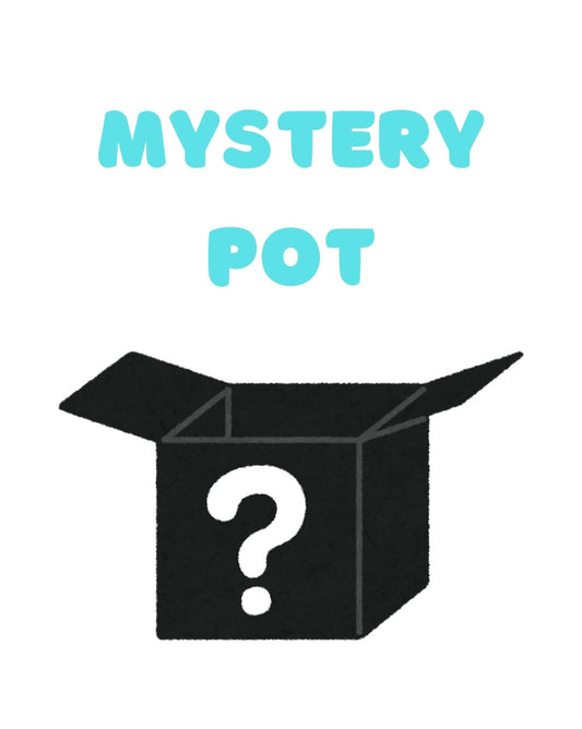 Mystery Pot